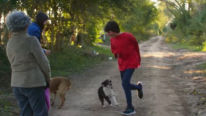 Presente Contínuo Trailer Oficial