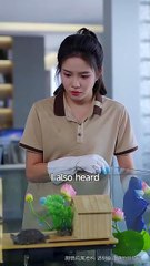 Paws Speak Louder Than Words - Full Movie