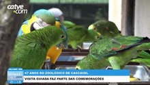 Visita guiada é realizada no Zoológico de Cascavel