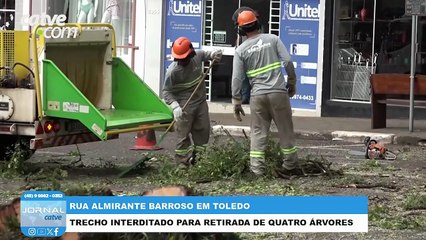 Rua Almirante Barroso tem bloqueio para remoção de árvores no Centro de Toledo