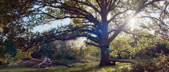 Bridget Jones: Loca por él - Trailer español