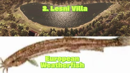 Hardest Fish to catch in each river/lake for beginners (Part 1) | Fishing Planet