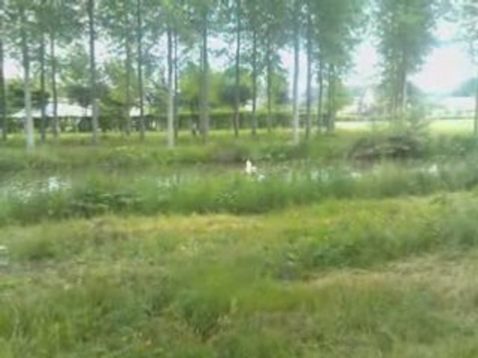 entrainement Vickie 25-05-08