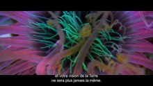 Ocean with David Attenborough: Trailer HD VO st FR