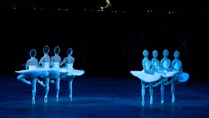 English National Ballet - Swan Lake in-the-round