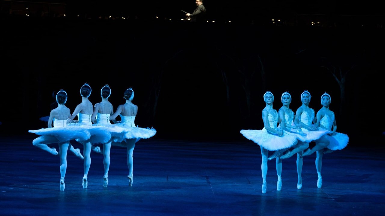English National Ballet - Swan Lake in-the-round