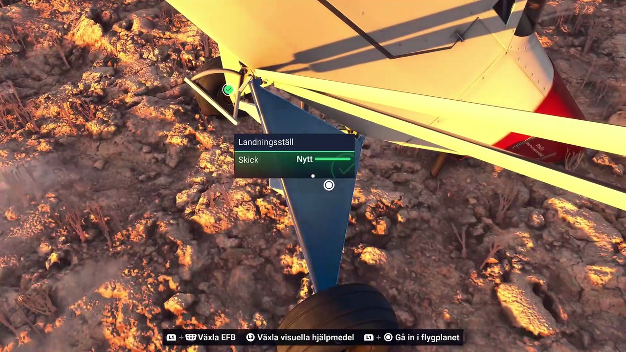 Microsoft Flight Simulator 2024 PS5