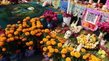 DAY OF THE DEAD in Mexico City 2022 (Dia de los Muertos)