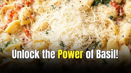 Creamy Tomato Basil Pasta