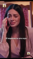 Embarazo por Error, Amor por Destino