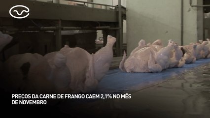 Preços da carne de frango caem 2,1% no mês de novembro