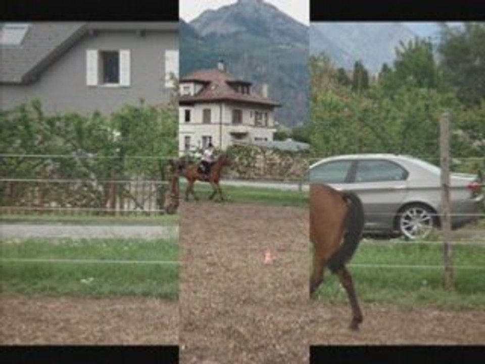 Jimini 25.05.08