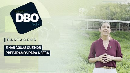 Pastagens: é nas águas que nos preparamos para a seca