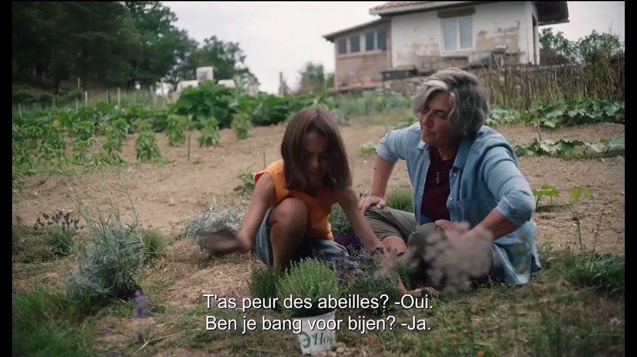 20.000 especies de abejas (20 000 espèces d'abeilles): Trailer HD VO st FR/NL