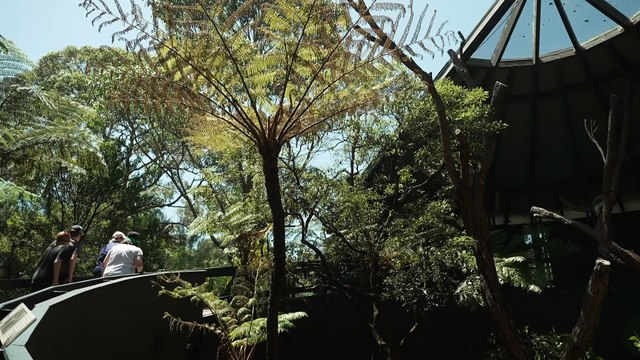 Taronga Zoo buys farmland to create an ecosystem for endangered species