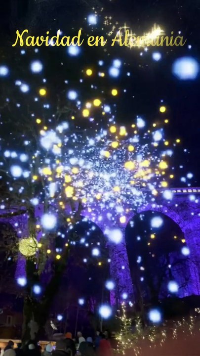 Mercado Navideño en Alemania