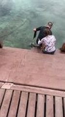 Woman Prevents Man From Sitting on Iguana, Avoiding Danger