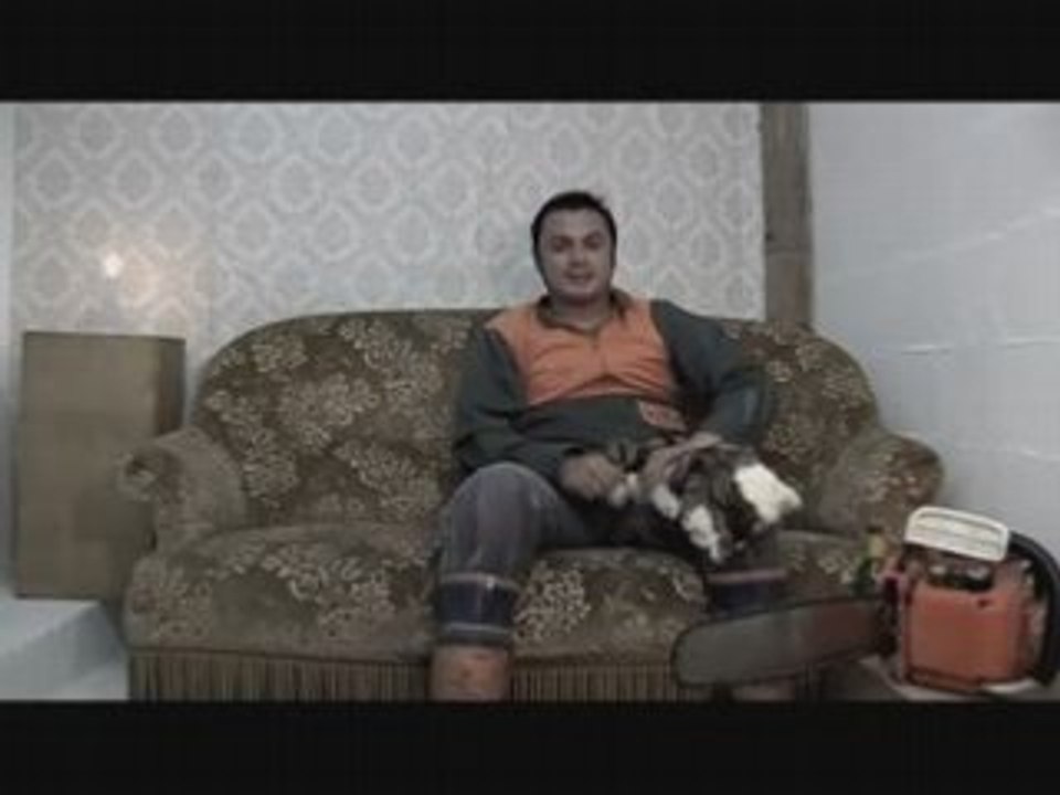 Minute bucheron les chats