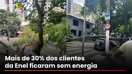 Ventania em São Paulo derruba árvores, fecha parques e deixa milhões sem energia