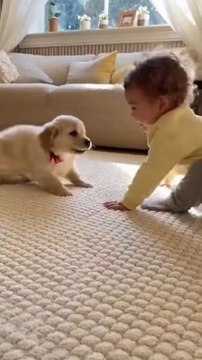 Happy moments begin here! A child playing with his little puppy, full of joy and fun! 🐶❤️ #baby #puppy #dog #ai