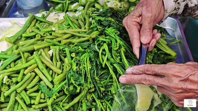 “Nutrition for the Whole Family When a Senior Has Cancer How Doctors Choose the Best Treatment After 60 + Simple Brain Exercises for Seniors”