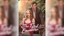 The Fated Encounter Love in Disguise Full Movie