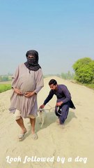 Look followed by a dog