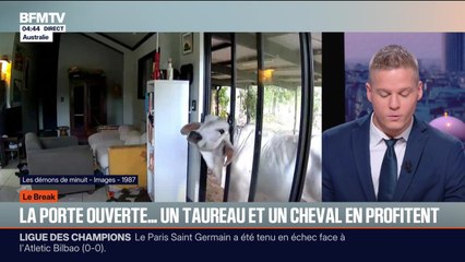 Le break du jeudi 11 décembre