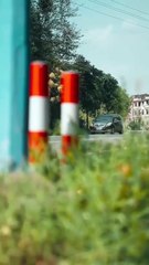 Fortunately, she has already changed her mind, loves her children, loves her husband, and protects the family wholeheartedly