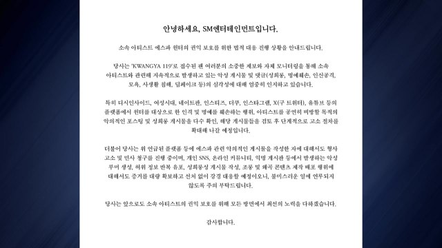SM엔터 에스파 윈터 악성 게시글, 선처 없이 강경 대응 / YTN