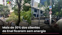 Ventania em São Paulo derruba árvores, fecha parques e deixa milhões sem energia