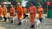 मलबे में दबे शव हो या कंकाल, सब ढूंढ निकालते हैं NDRF के कैडेवर DOGS, देखिए कैसे दी जाती है ट्रेनिंग?