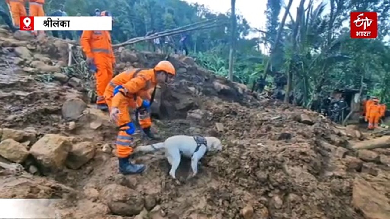 मलबे में दबे शव हो या कंकाल, सब ढूंढ निकालते हैं NDRF के कैडेवर DOGS, देखिए कैसे दी जाती है ट्रेनिंग?
