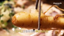 [예고] 한국인과 함께 해온 뿌리 깊은 맛! 인삼, 황금빛 미래를 꿈꾸다