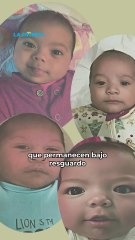 DIF busca a familiares de cuatro bebés retirados a sus madres por consumo