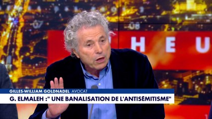 Gilles-William Goldnadel : «Il y a une banalité du mal qui s'est installée.»