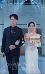 Twice To Love, Once To Fade Full Chinese Drama