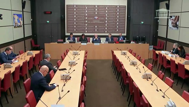 Commission des affaires économiques : Prédation des capacités productives françaises par les fonds spéculatifs - Mercredi 10 décembre 2025
