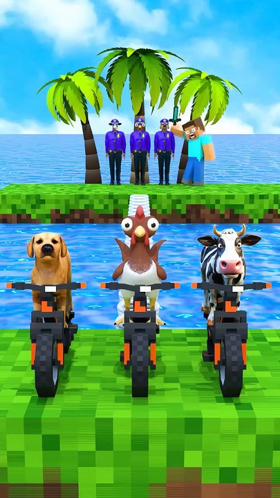 Cho cho Roblox game