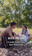 Framed & Kicked Out by Sister—She Married a Snake,Only to Discover He’s Demon Emperor Who Spoils Her - Karma Story (720p, h264, youtube)