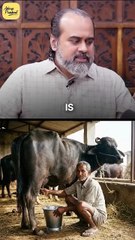 Not Made for You __ Acharya Prashant