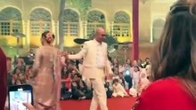 Ali Haider Gilani son of Yousaf Raza Gilani dance with wife goes viral