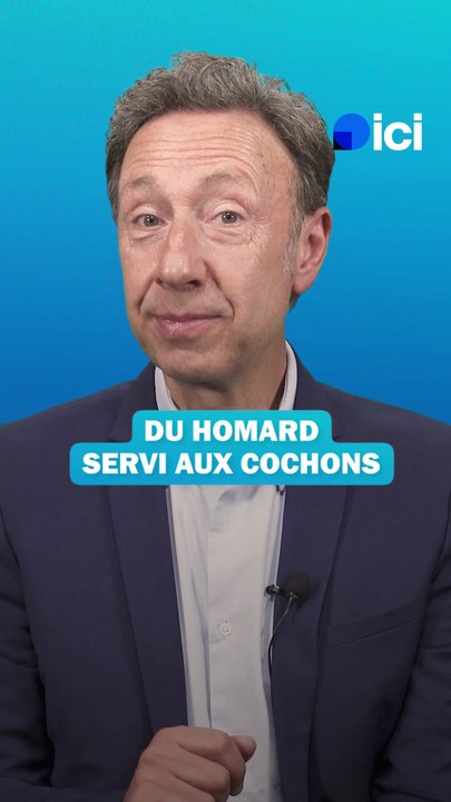 Les homard, c'est pour les cochons ! - Voyage dans le temps avec Stéphane Bern