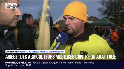 "Il faut arrêter ce système": des agriculteurs réunis contre l'abattage des vaches touchées par la dermatose bovine