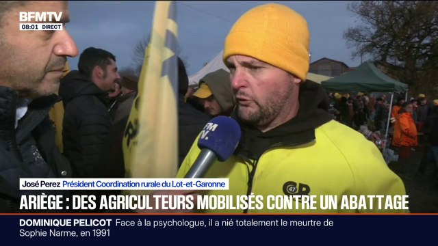 Il faut arrêter ce système : des agriculteurs réunis contre l'abattage des vaches touchées par la dermatose bovine