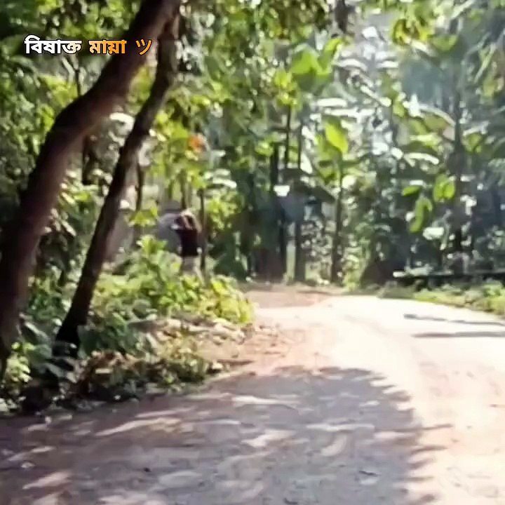 পানিতে ডু'বে যাওয়া শিশু সন্তান মাথায় নিয়ে পা'গল হয়ে দৌড়াচ্ছেন বাবা.!