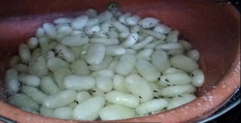 बीकानेर स्वीट्स और दुर्गा सेव भंडार की खुली पोल