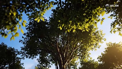 Part 56 - A Girl Alone Surviving In The Forest - True Power of Mother Nature & the Young Bird Battle