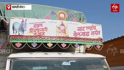 पाच वर्षीय 'लखन'नं तीन वर्षांत 3 बुलेटसह जिंकल्या 16 गाड्या; चार वेळा 'हिंदकेसरी'चाही बनला विजेता