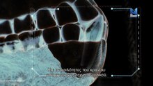 Τα Πιο Παράξενα Αντικείμενα - The Fake, the Spy and the Steam Powered Brain